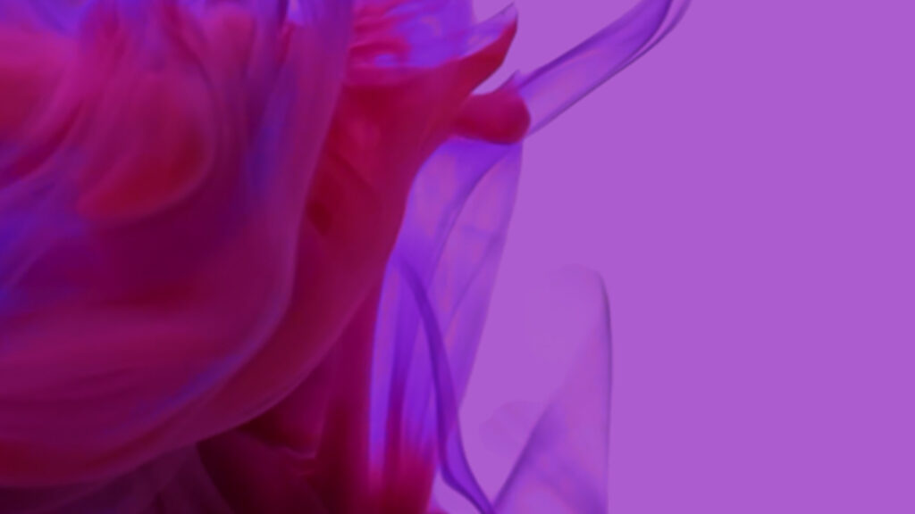 NAPCO WORLD Middle East Coatings Show